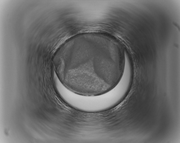 X0000100401449200806201726