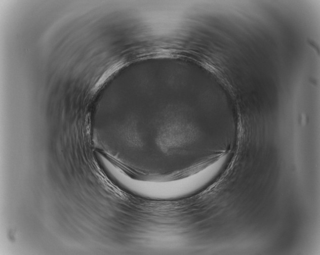X0000100401450200806201725