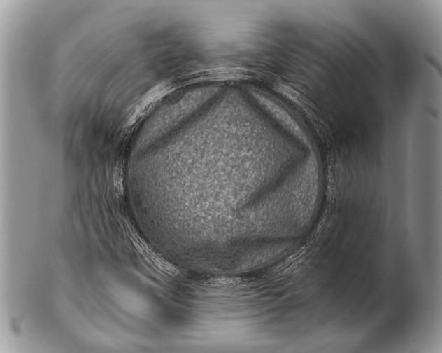 X0000100401451200806201725