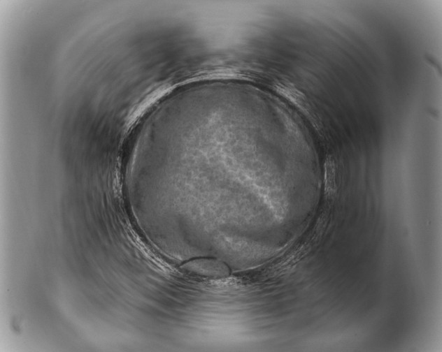 X0000100401452200806201725