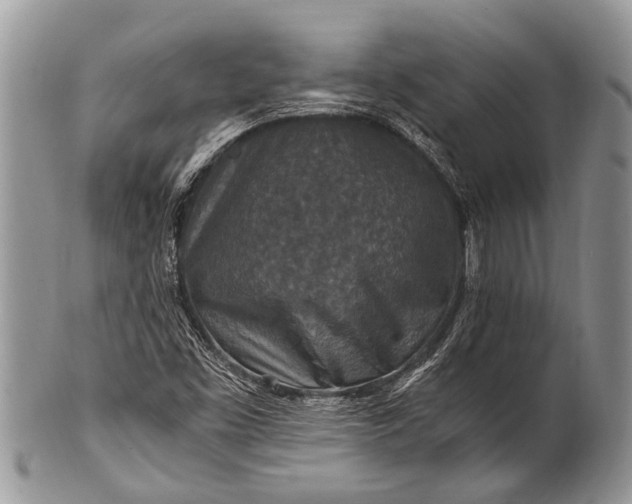X0000100401453200806201725