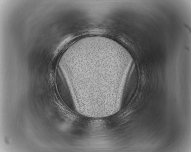 X0000100401454200806201725