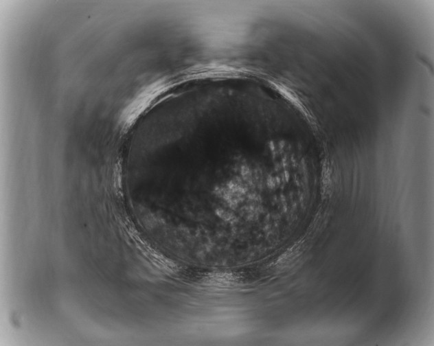 X0000100401455200806201725