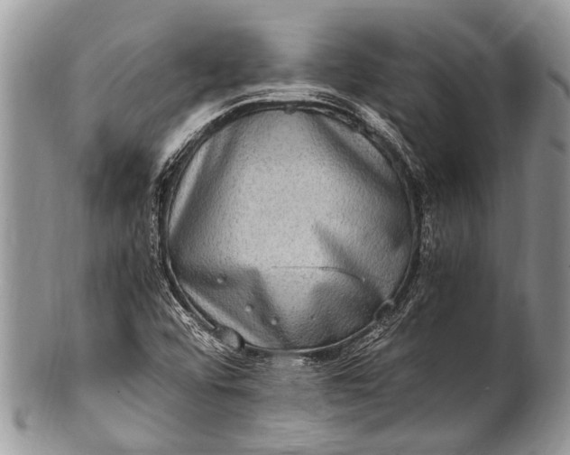 X0000100401456200806201725
