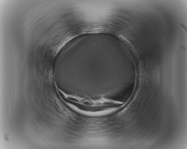 X0000100401457200806201725
