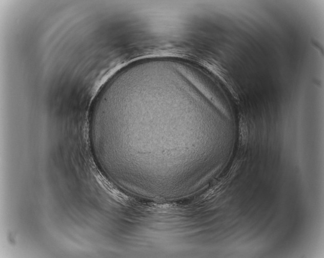 X0000100401460200806201725