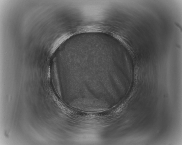 X0000100401461200806201725