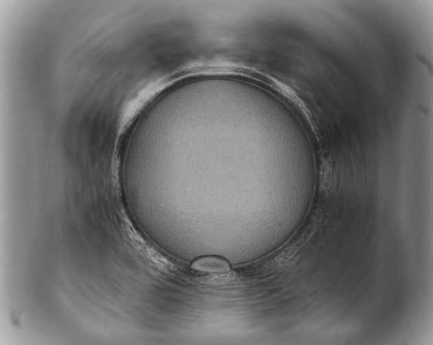 X0000100401464200806201725