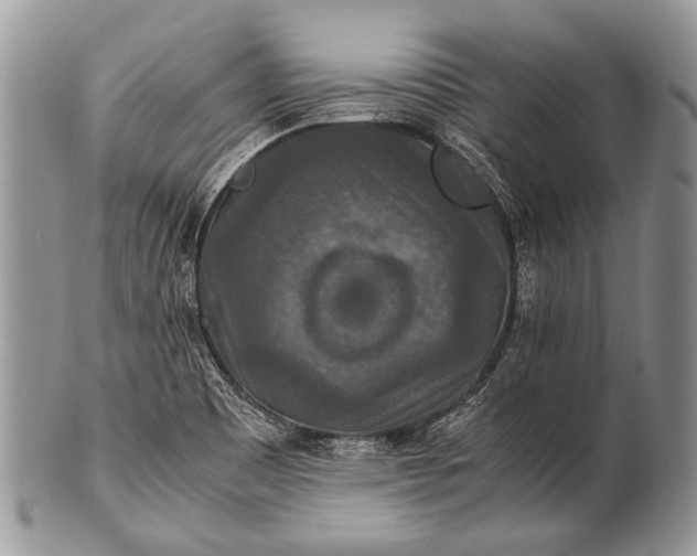 X0000100401465200806201725