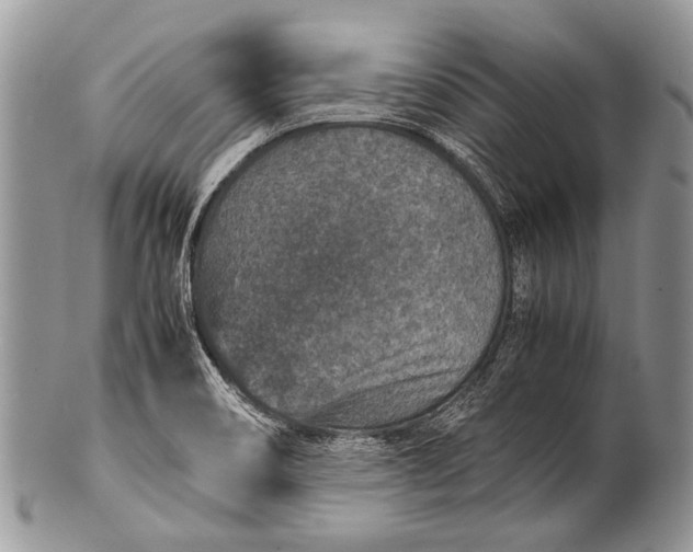 X0000100401466200806201725