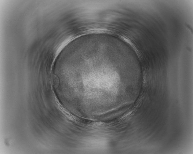 X0000100401467200806201725