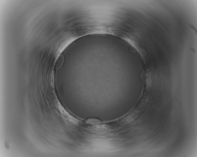 X0000100401468200806201725
