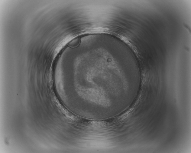 X0000100401469200806201725