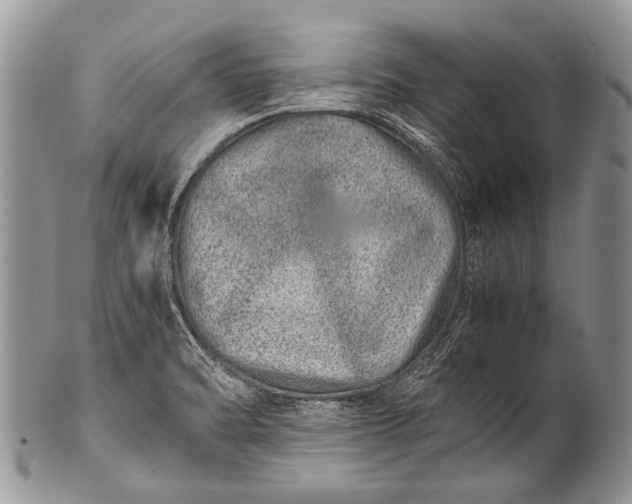 X0000100401470200806201725
