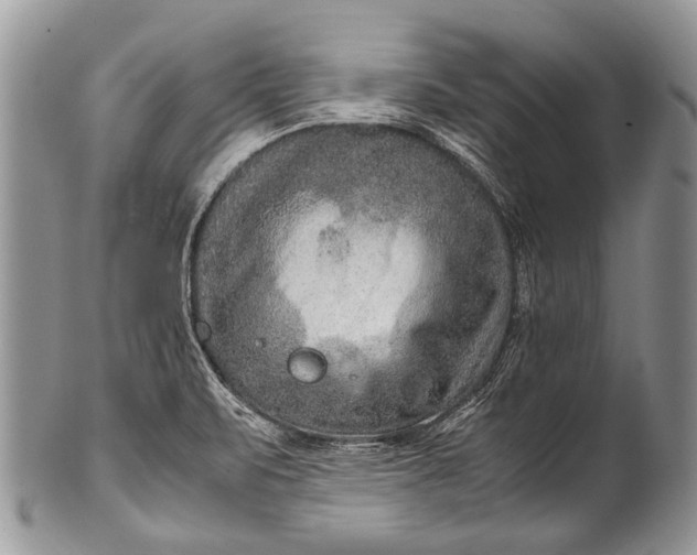 X0000100401471200806201725