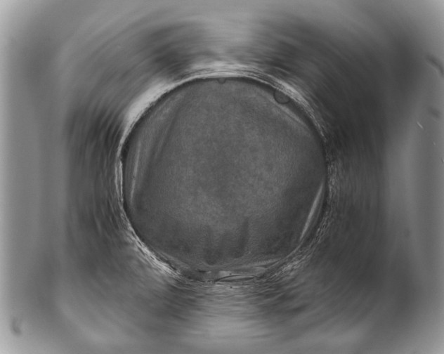 X0000100401472200806201725