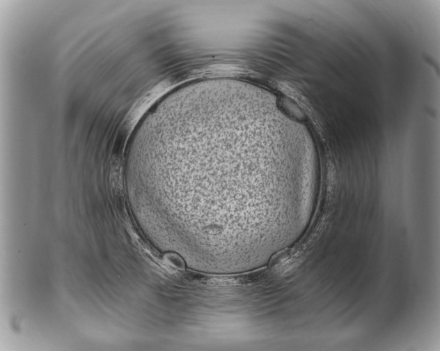 X0000100401473200806201725