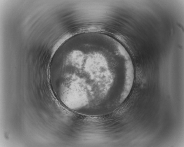 X0000100401474200806201725