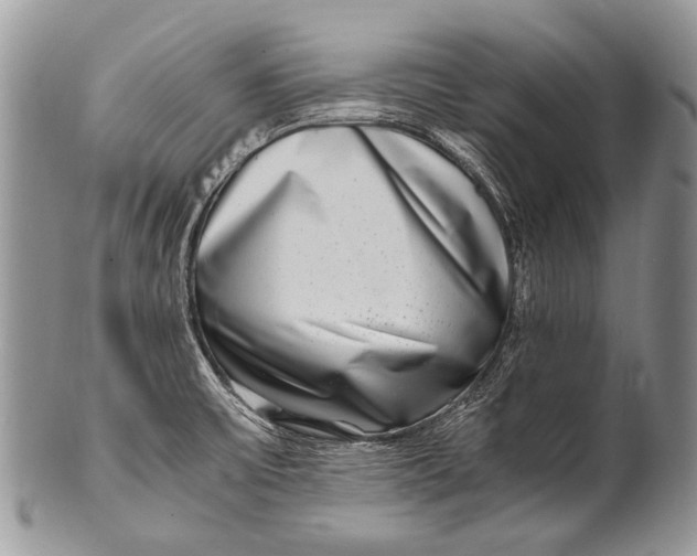 X0000100401475200806201725