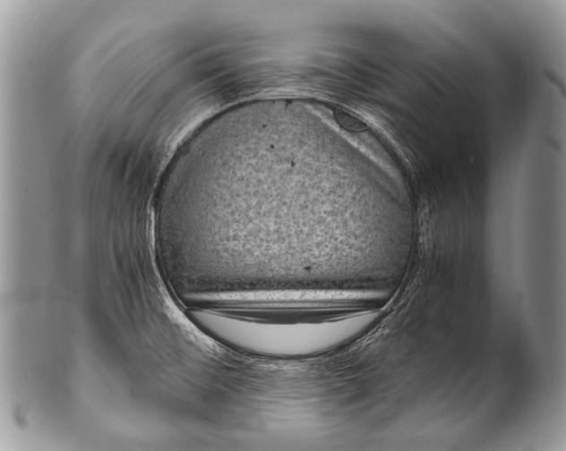 X0000100401476200806201725