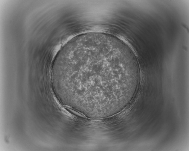 X0000100401477200806201725