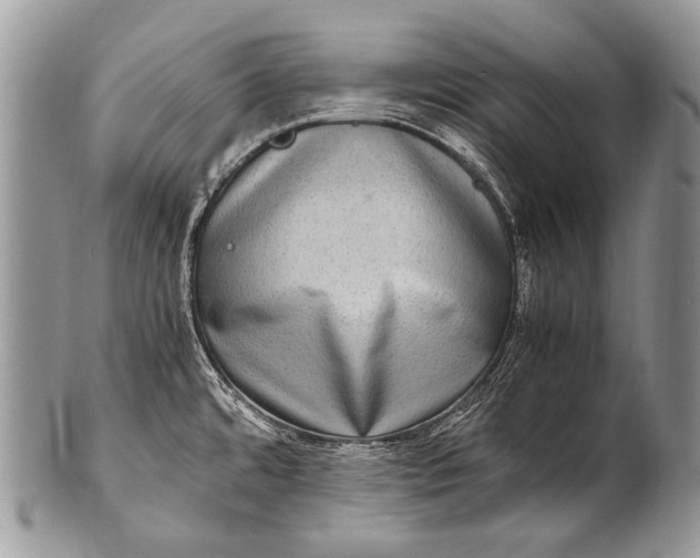 X0000100401480200806201725