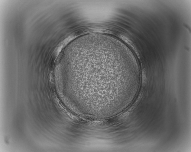 X0000100401481200806201725