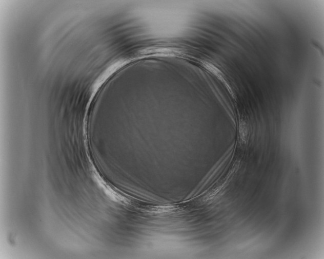 X0000100401482200806201725