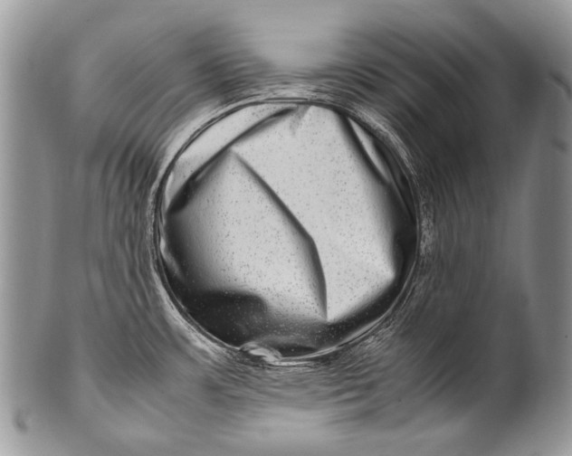X0000100401483200806201725