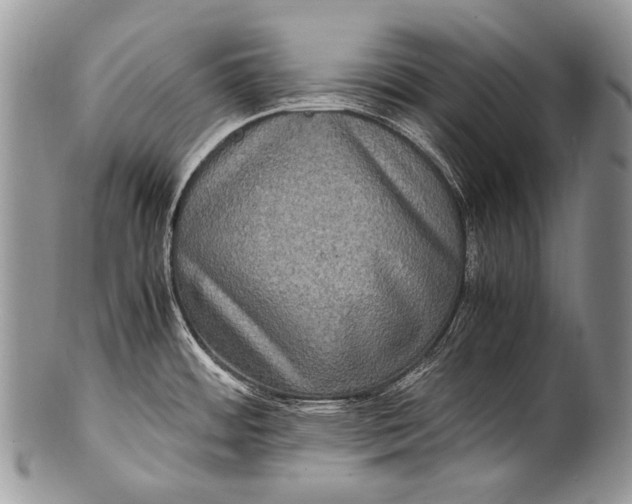 X0000100401484200806201725