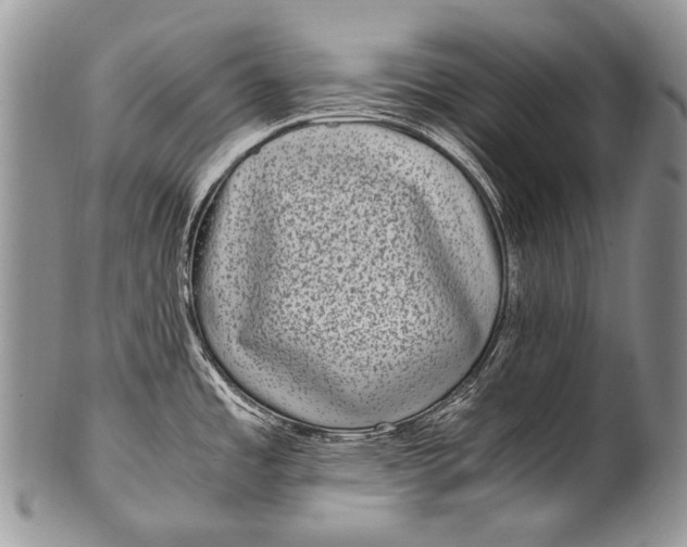 X0000100401485200806201725