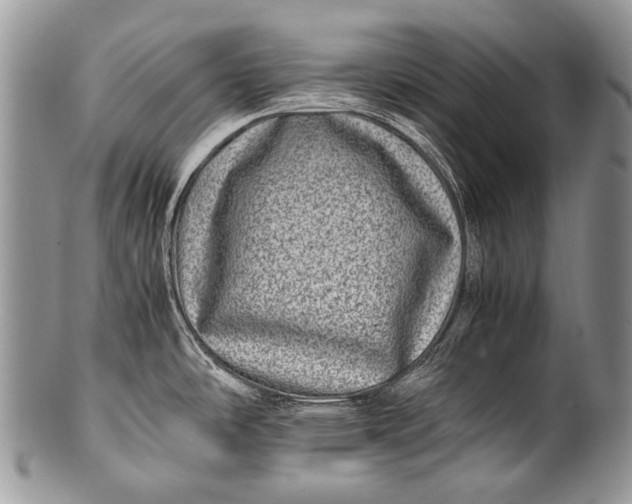 X0000100401486200806201725
