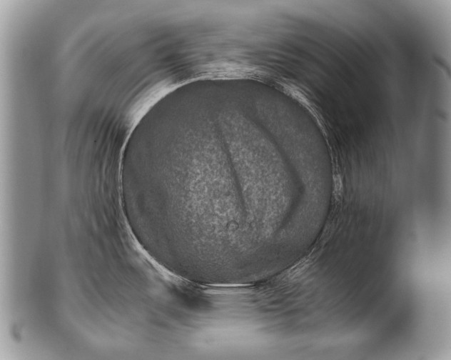 X0000100401487200806201725