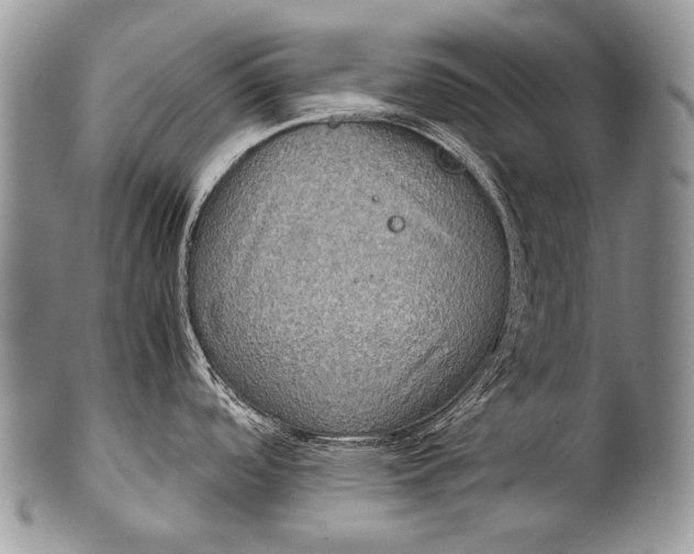 X0000100401488200806201725
