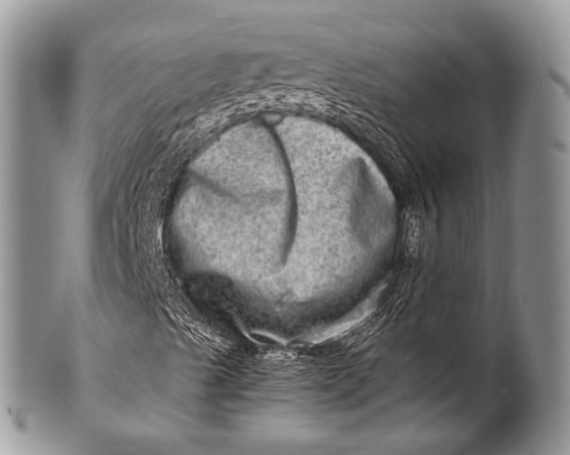 X0000100401489200806201724