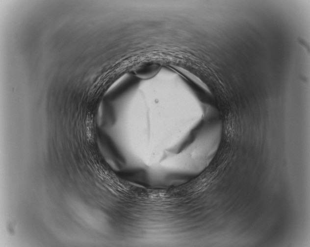 X0000100401490200806201724