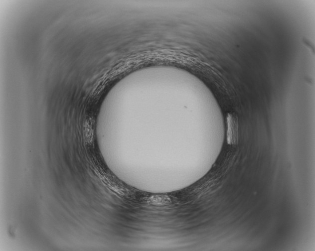 X0000100401491200806201724