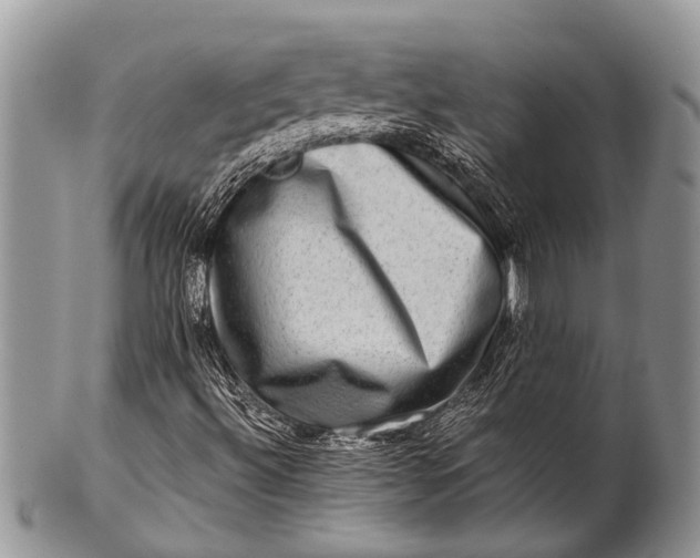 X0000100401492200806201724