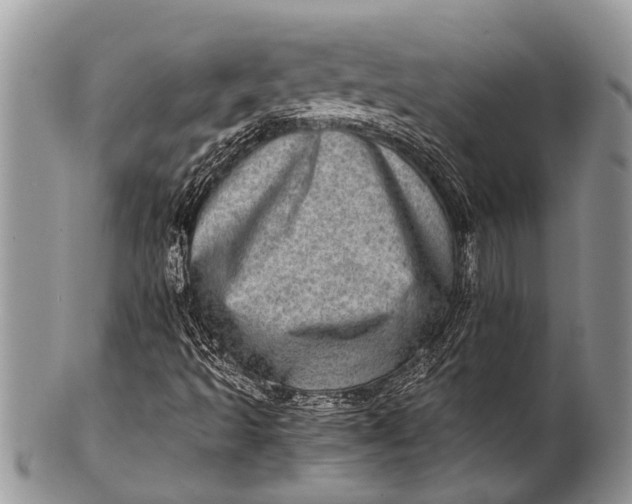 X0000100401493200806201724