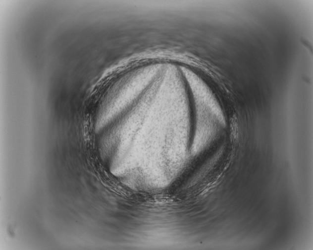 X0000100401494200806201724