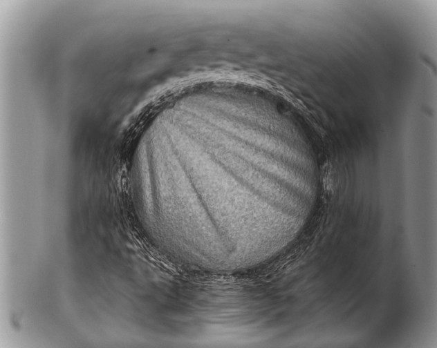 X0000100401495200806201724