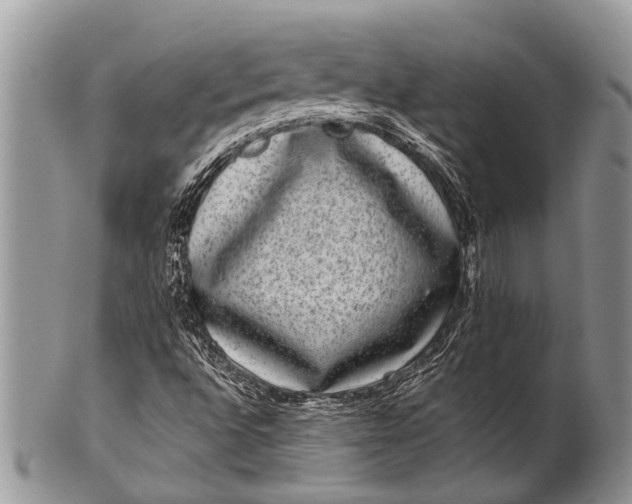 X0000100401496200806201724