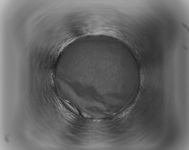 X0000100401497200806201724