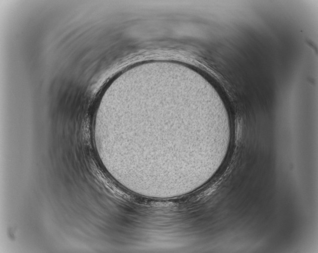 X0000100401498200806201724