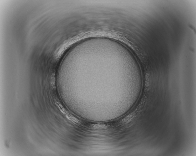 X0000100401499200806201724
