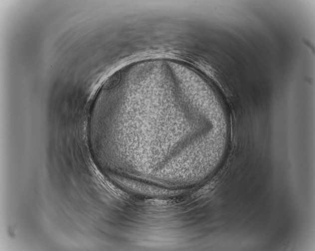 X0000100401500200806201724