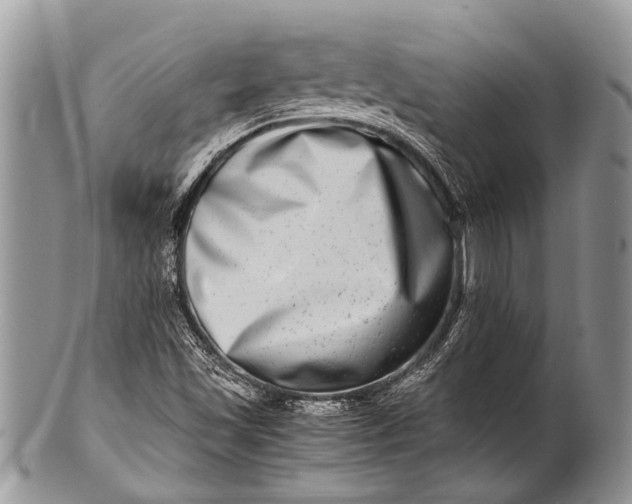 X0000100401501200806201724