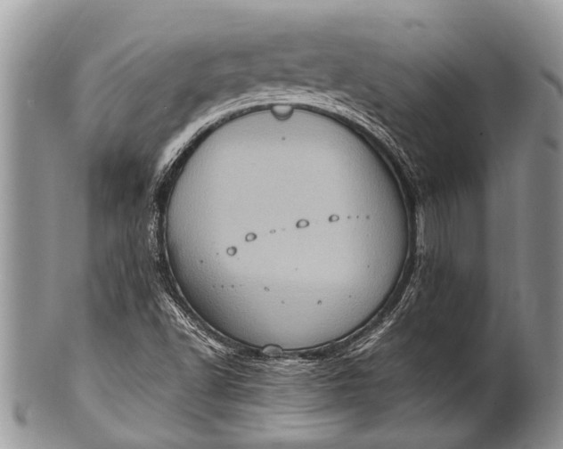 X0000100401502200806201724