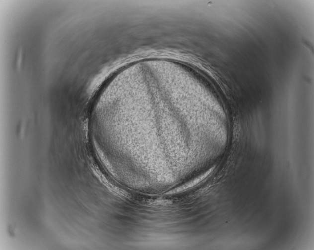 X0000100401503200806201724