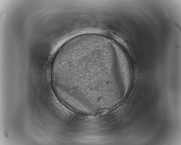 X0000100401504200806201724